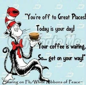 Meet your Posher, Brandi